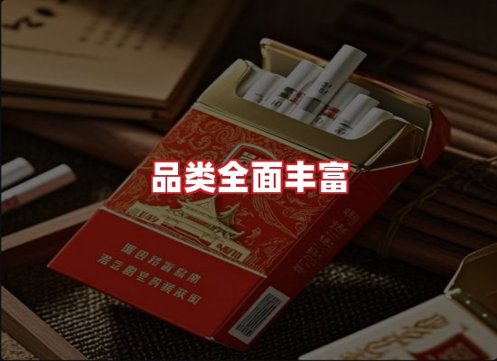 专业团队
